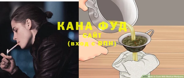 молекула духа Пестово