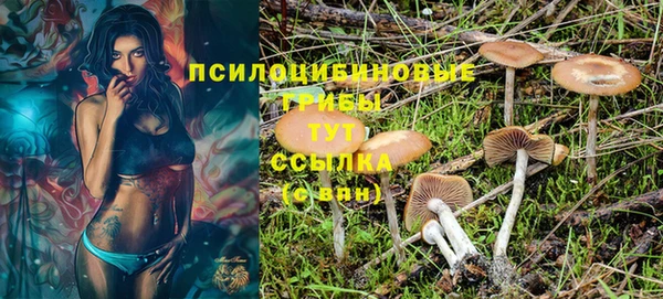 ALPHA-PVP Покров