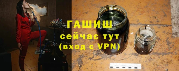 молекула духа Пестово