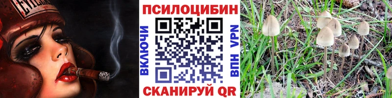 как найти закладки  Великий Новгород  Галлюциногенные грибы MAGIC MUSHROOMS 