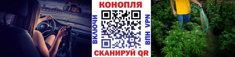 наркошоп  Великий Новгород  Бошки марихуана ГИДРОПОН 